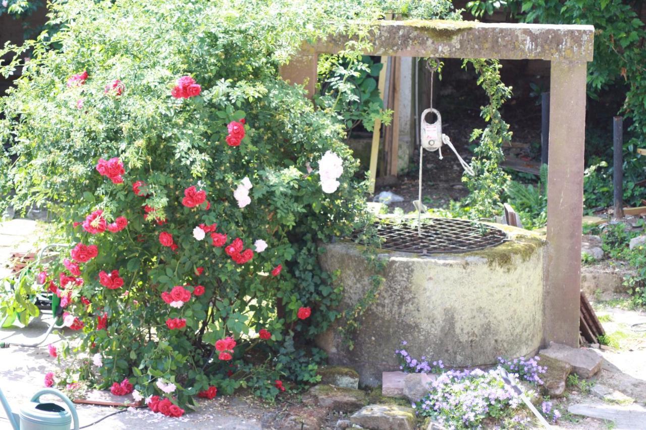 Bed and Breakfast La Grange Aux Coqs Ittenheim Exterior foto
